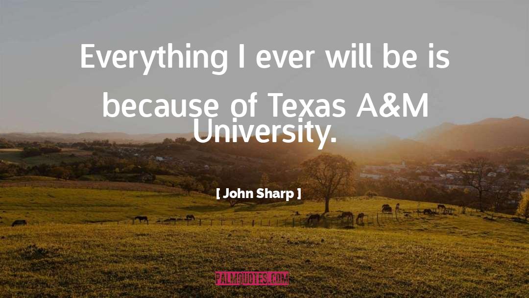 John Sharp Quotes: Everything I ever will be