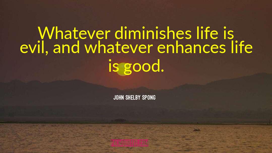 John Shelby Spong Quotes: Whatever diminishes life is evil,