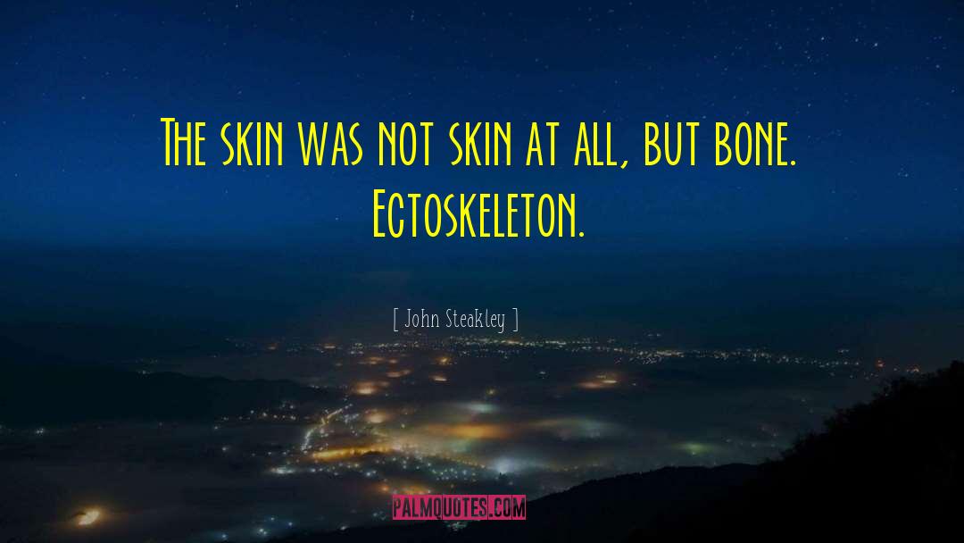 John Steakley Quotes: The skin was not skin
