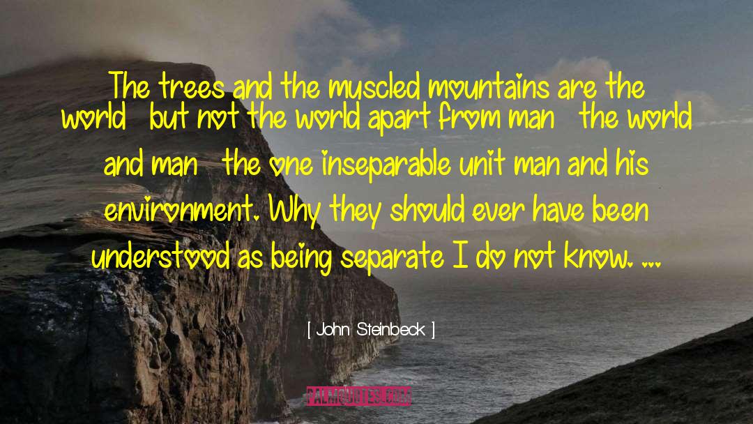 John Steinbeck Quotes: The trees and the muscled