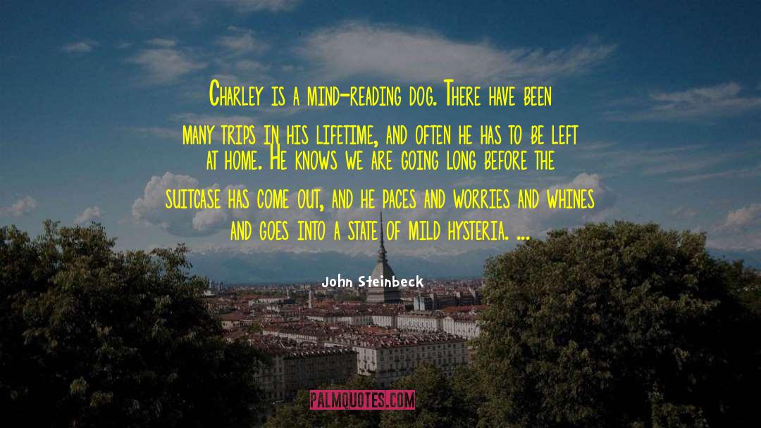 John Steinbeck Quotes: Charley is a mind-reading dog.