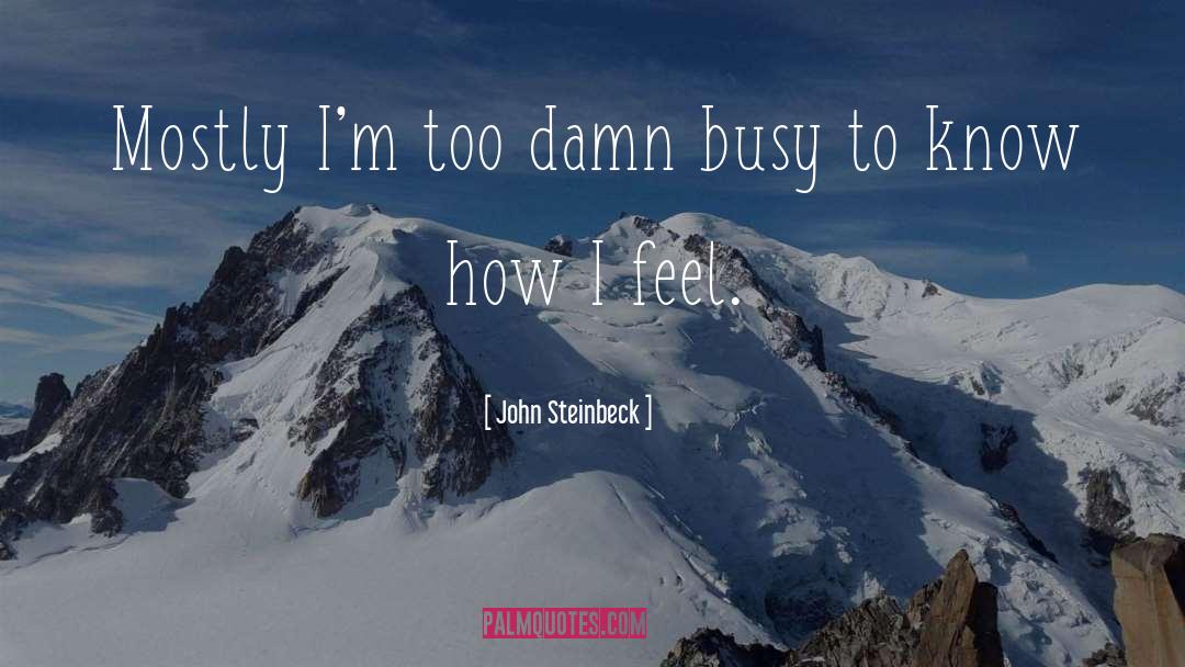 John Steinbeck Quotes: Mostly I'm too damn busy