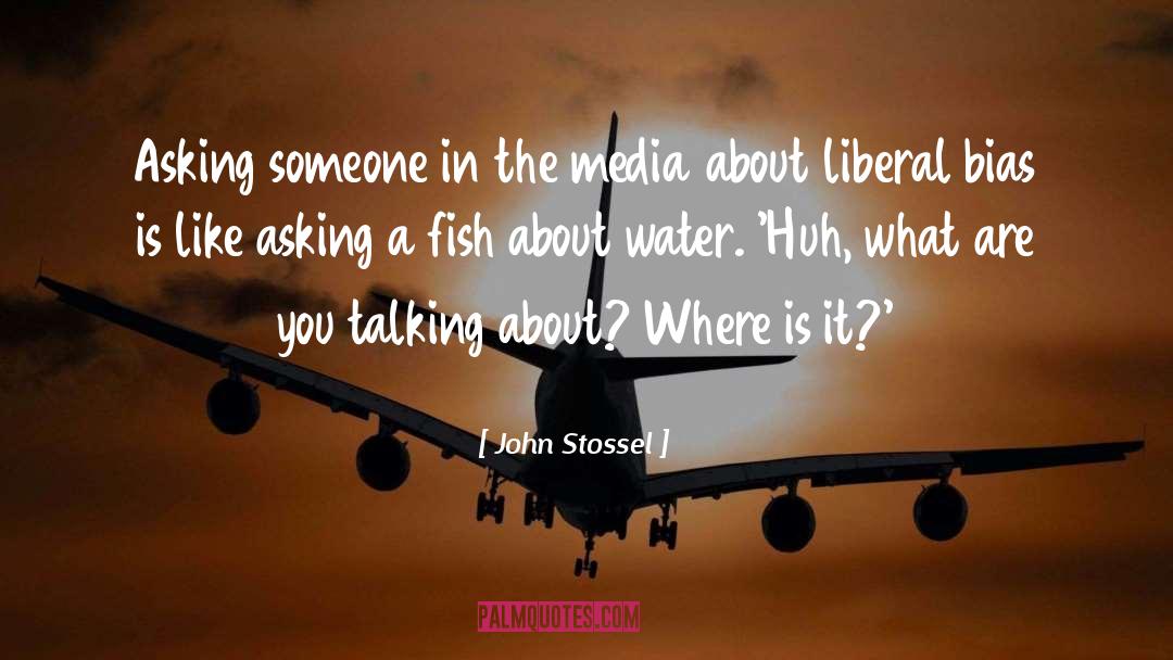 John Stossel Quotes: Asking someone in the media