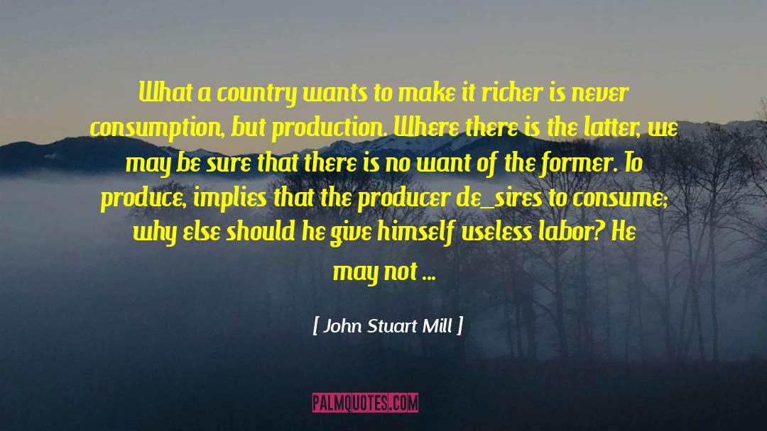 John Stuart Mill Quotes: What a country wants to