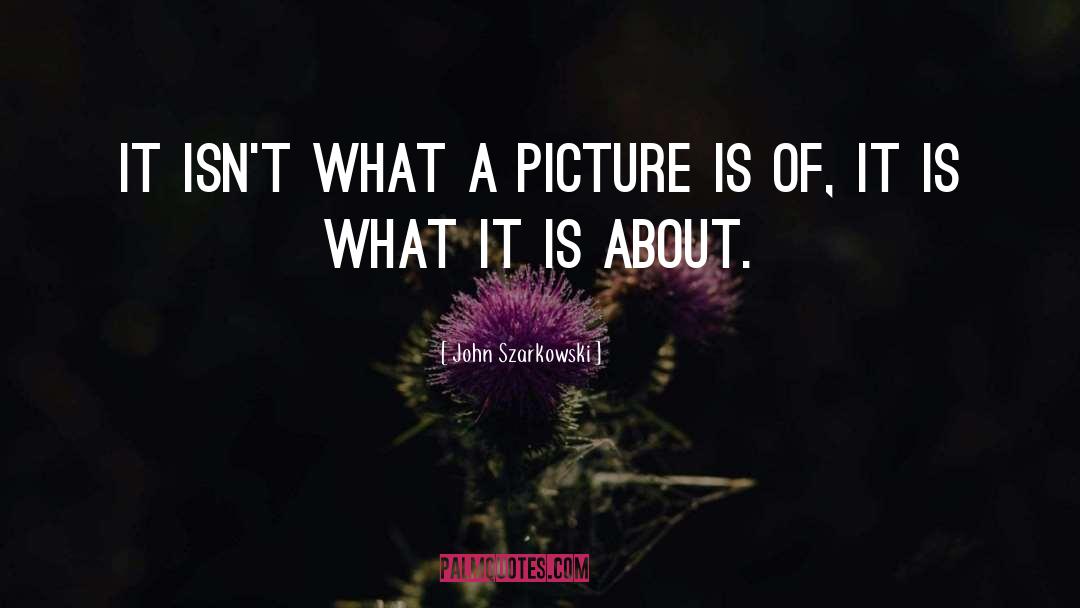 John Szarkowski Quotes: It isn't what a picture