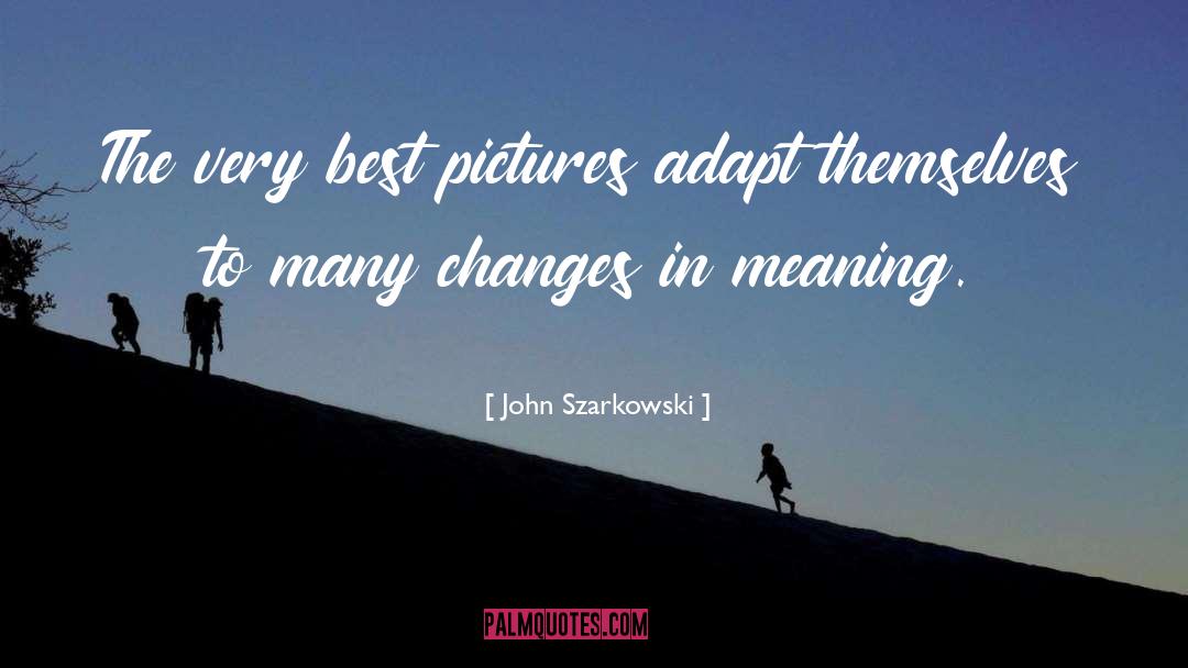 John Szarkowski Quotes: The very best pictures adapt