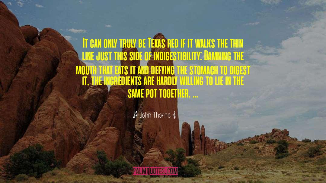 John Thorne Quotes: It can only truly be