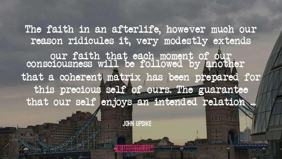 John Updike Quotes: The faith in an afterlife,