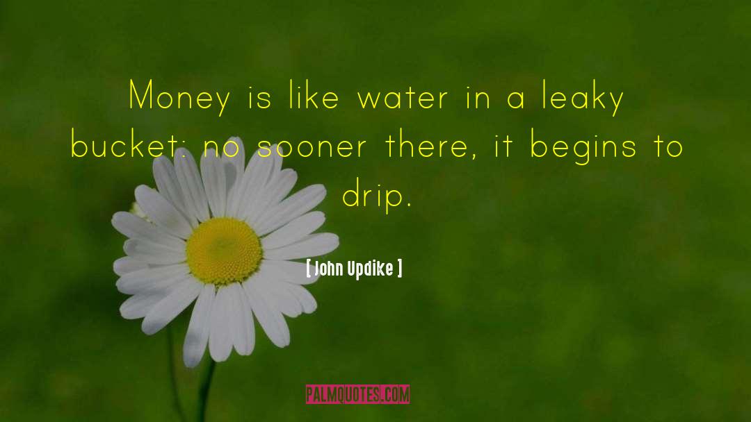 John Updike Quotes: Money is like water in