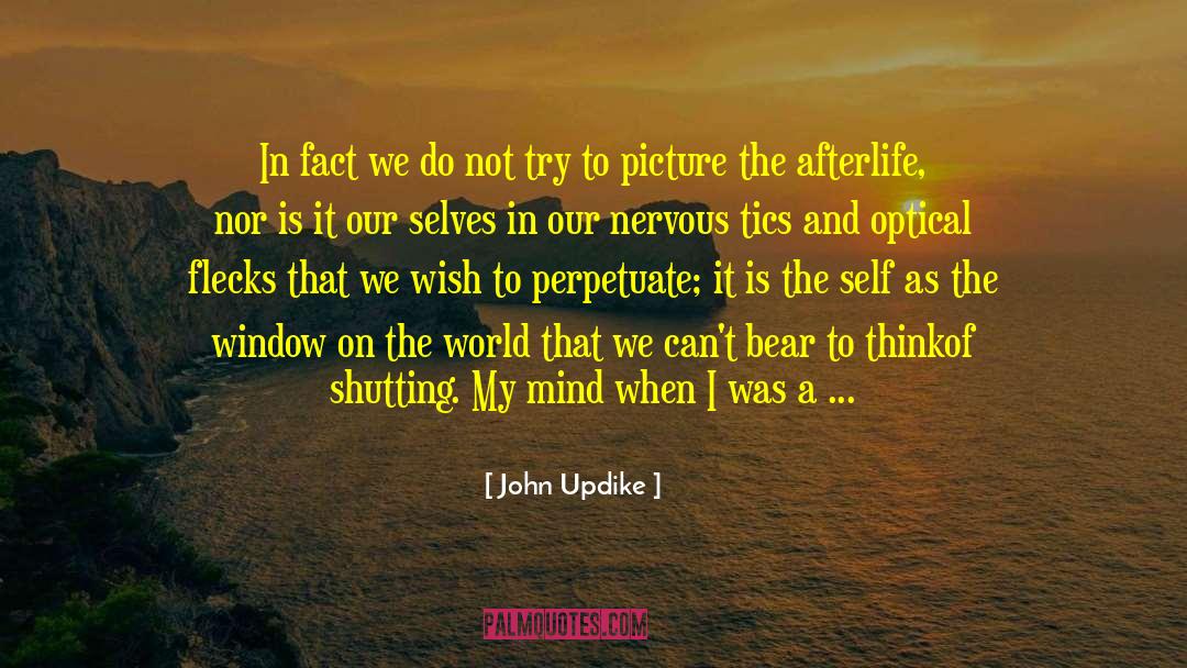 John Updike Quotes: In fact we do not