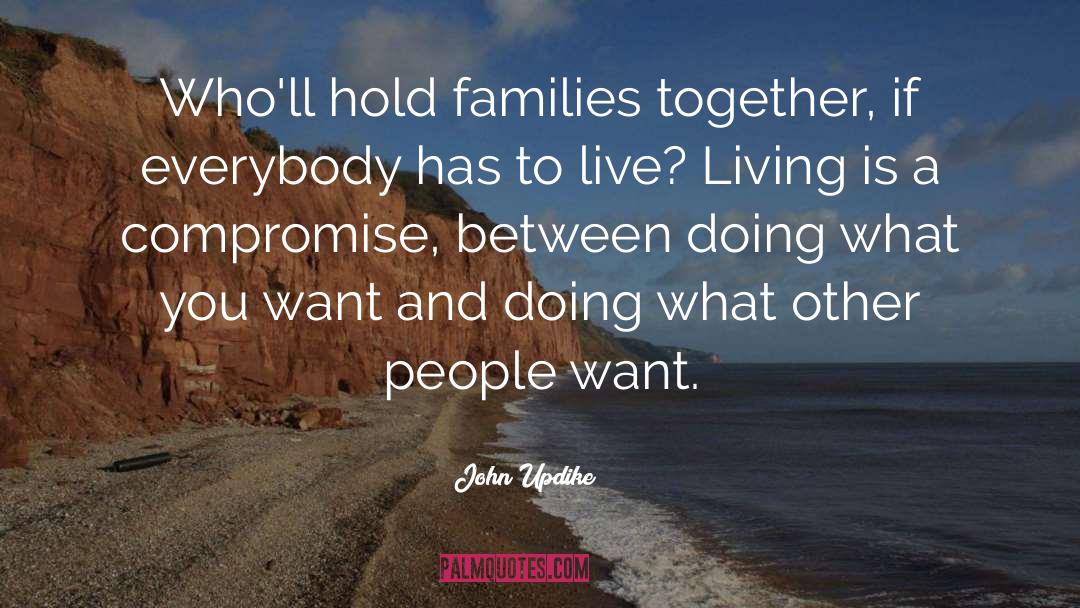 John Updike Quotes: Who'll hold families together, if