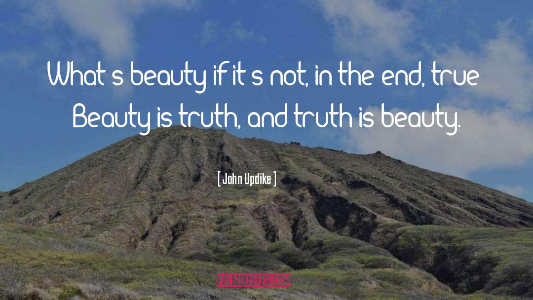 John Updike Quotes: What's beauty if it's not,