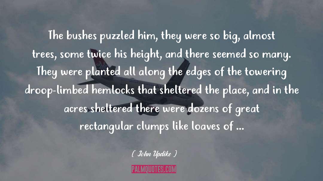John Updike Quotes: The bushes puzzled him, they