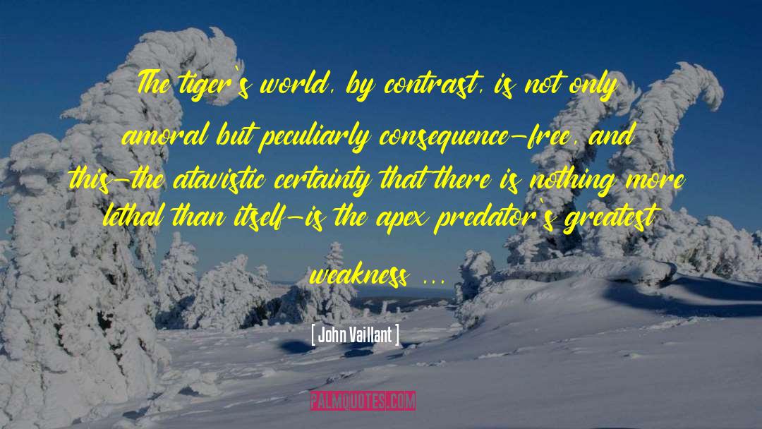 John Vaillant Quotes: The tiger's world, by contrast,
