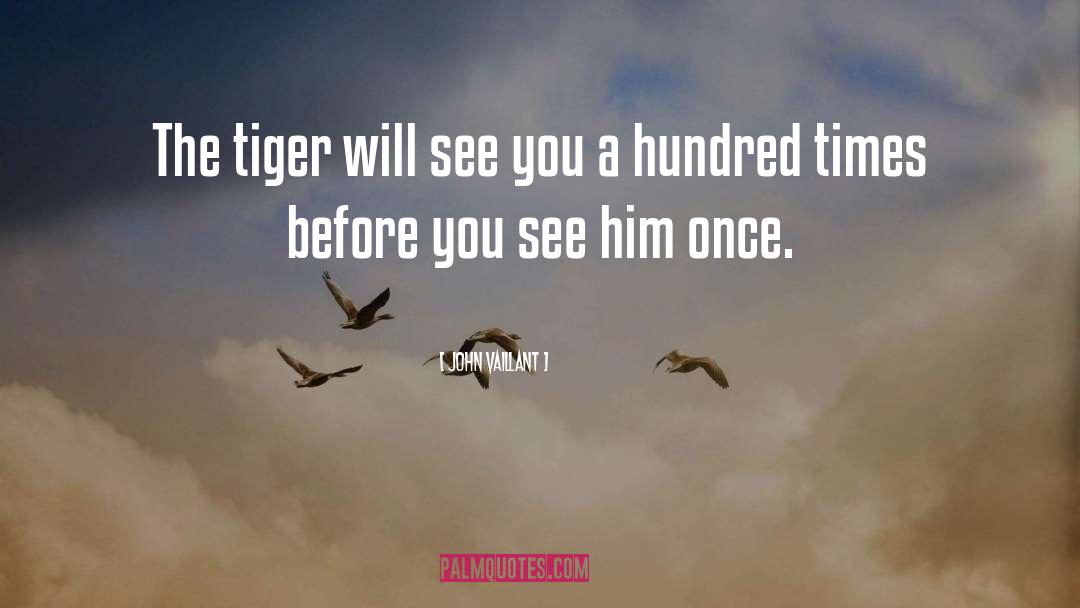John Vaillant Quotes: The tiger will see you