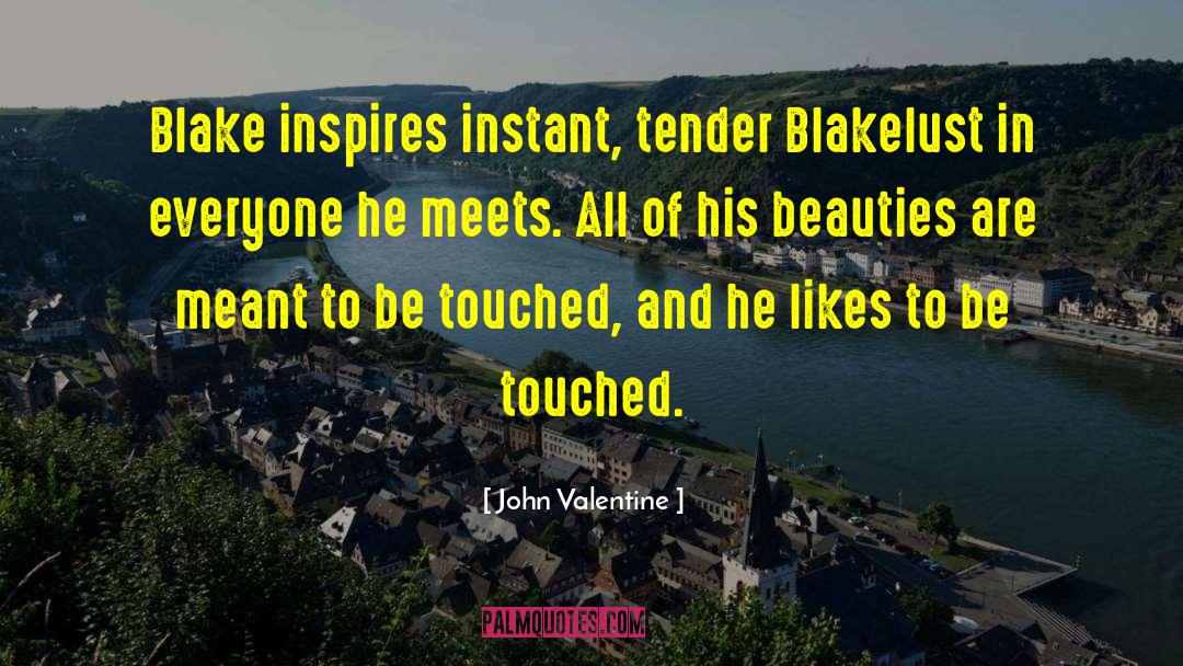 John Valentine Quotes: Blake inspires instant, tender Blakelust