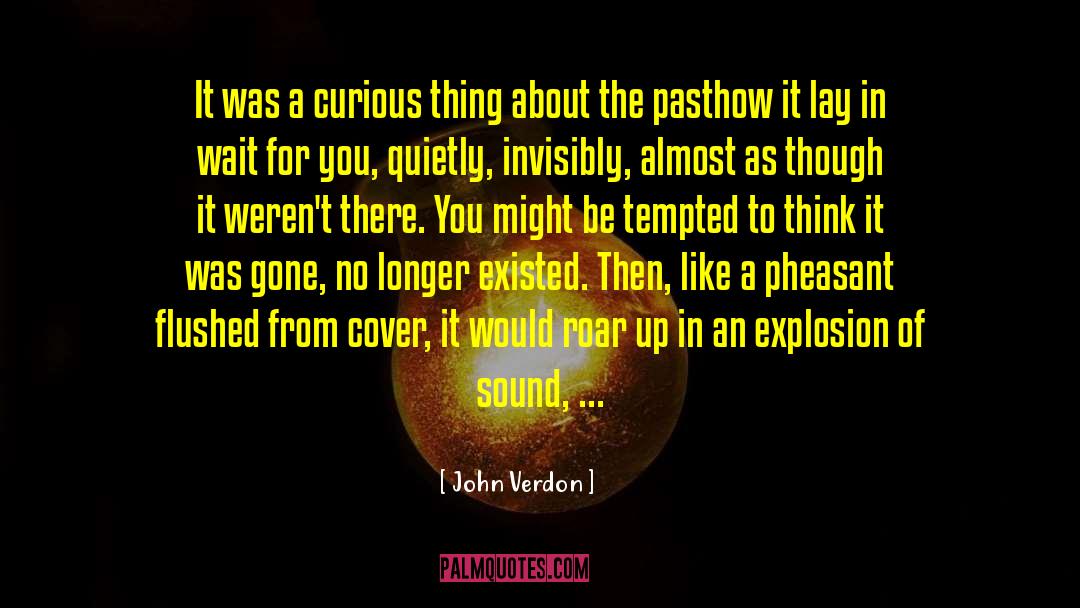 John Verdon Quotes: It was a curious thing