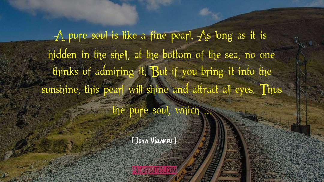 John Vianney Quotes: A pure soul is like