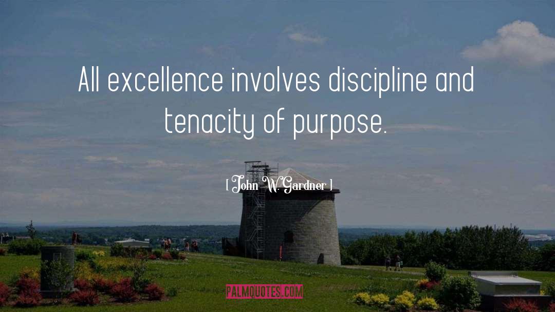 John W. Gardner Quotes: All excellence involves discipline and