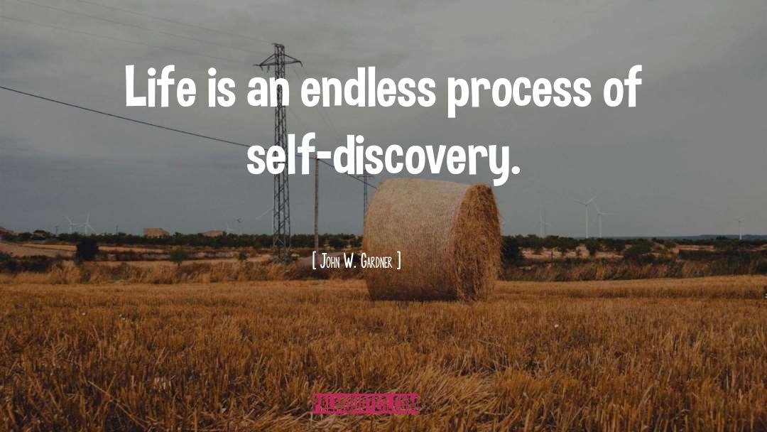 John W. Gardner Quotes: Life is an endless process