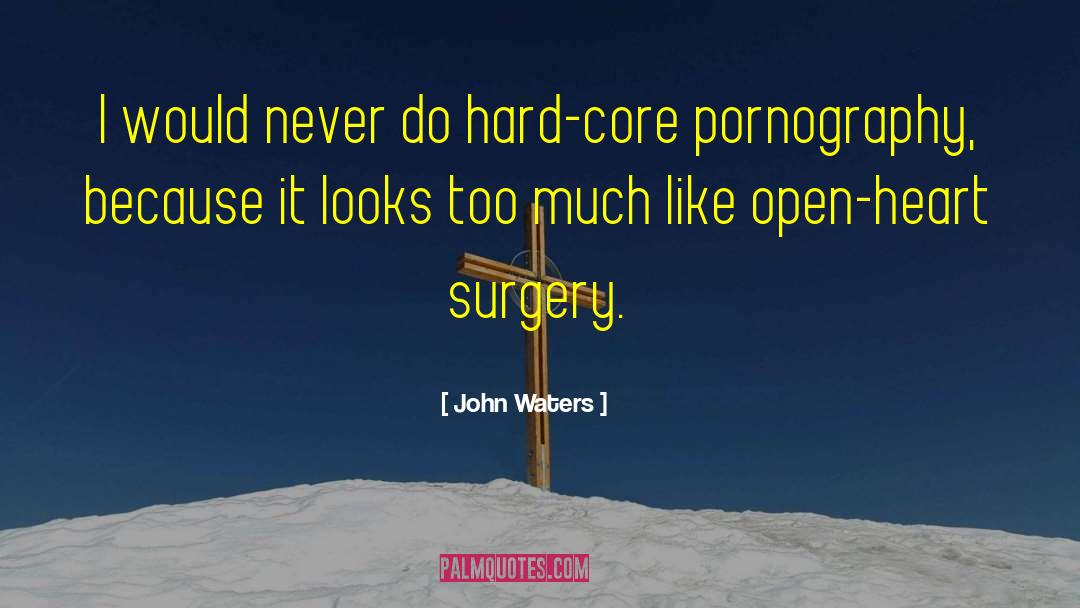 John Waters Quotes: I would never do hard-core