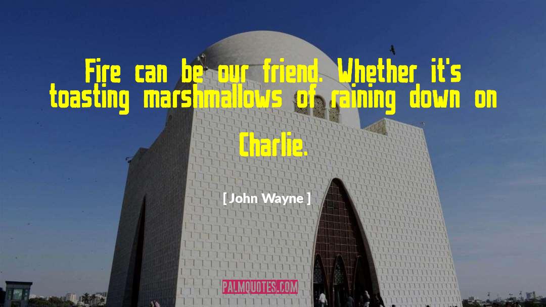 John Wayne Quotes: Fire can be our friend.