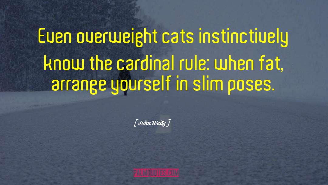 John Weitz Quotes: Even overweight cats instinctively know