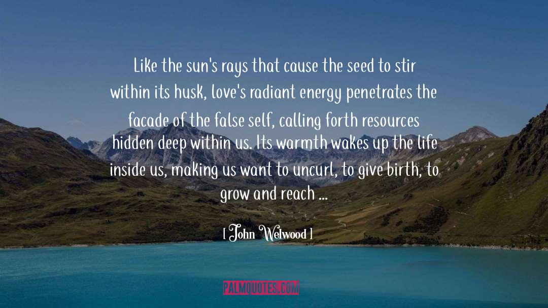 John Welwood Quotes: Like the sun's rays that