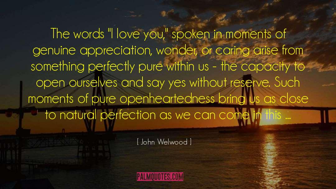 John Welwood Quotes: The words 
