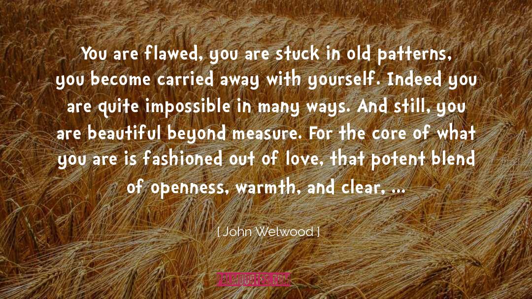 John Welwood Quotes: You are flawed, you are