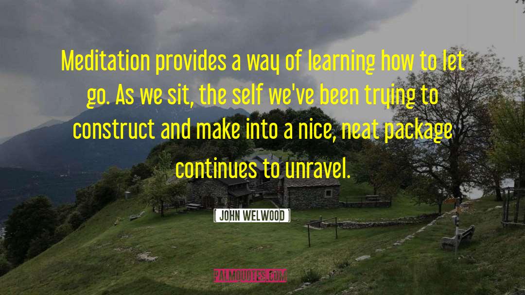 John Welwood Quotes: Meditation provides a way of