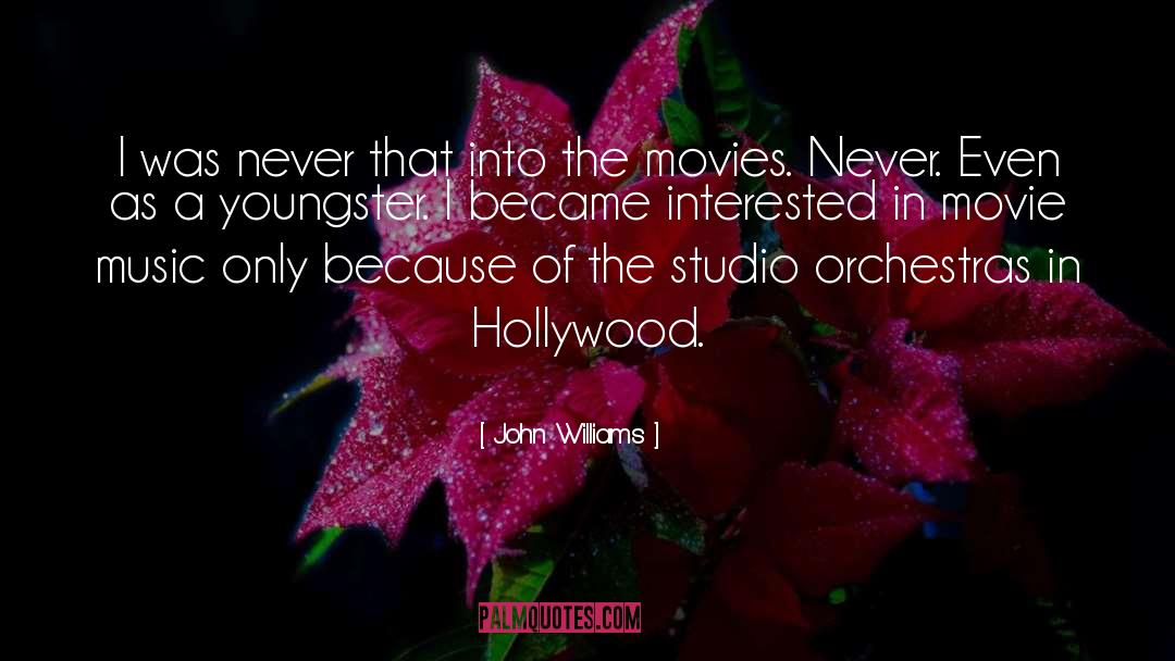 John Williams Quotes: I was never that into