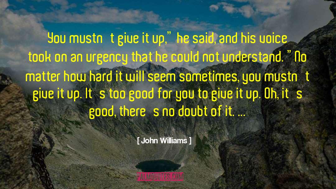 John Williams Quotes: You mustn't give it up,