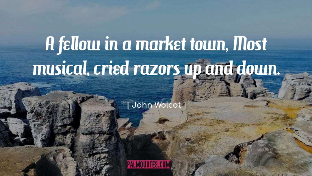 John Wolcot Quotes: A fellow in a market