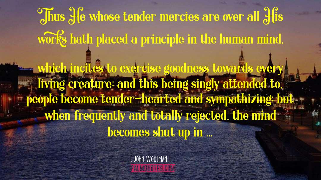 John Woolman Quotes: Thus He whose tender mercies