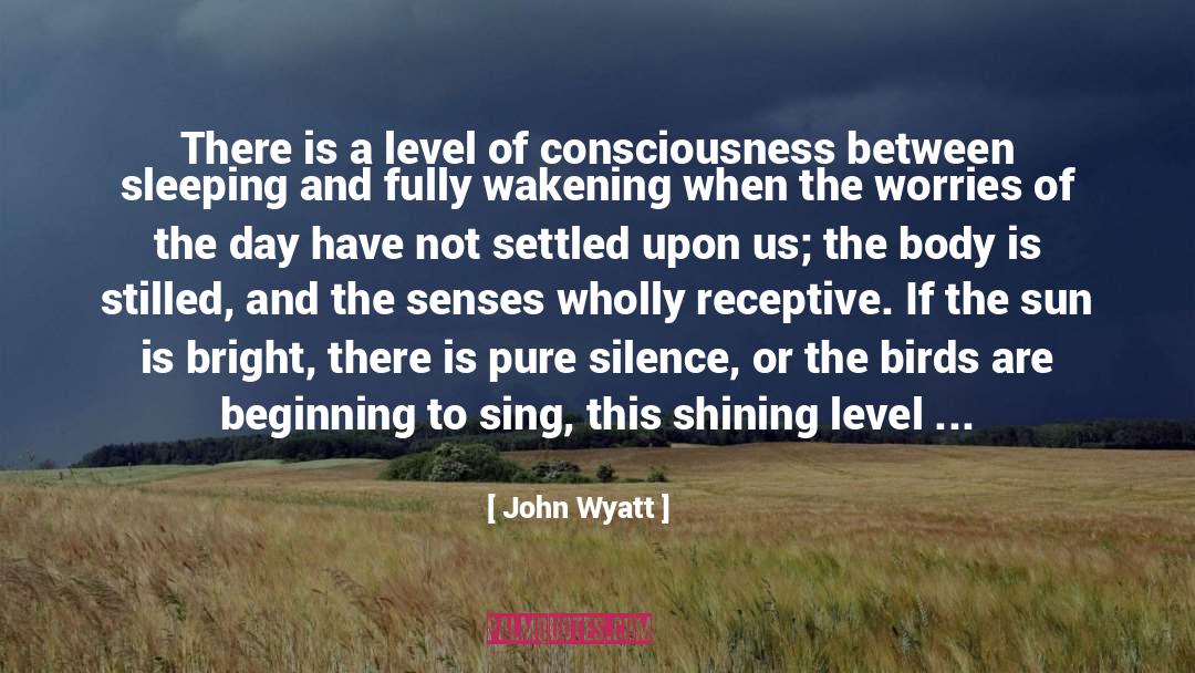 John Wyatt Quotes: There is a level of