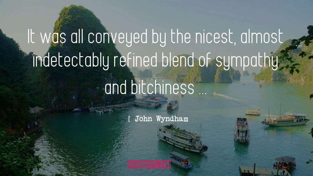 John Wyndham Quotes: It was all conveyed by