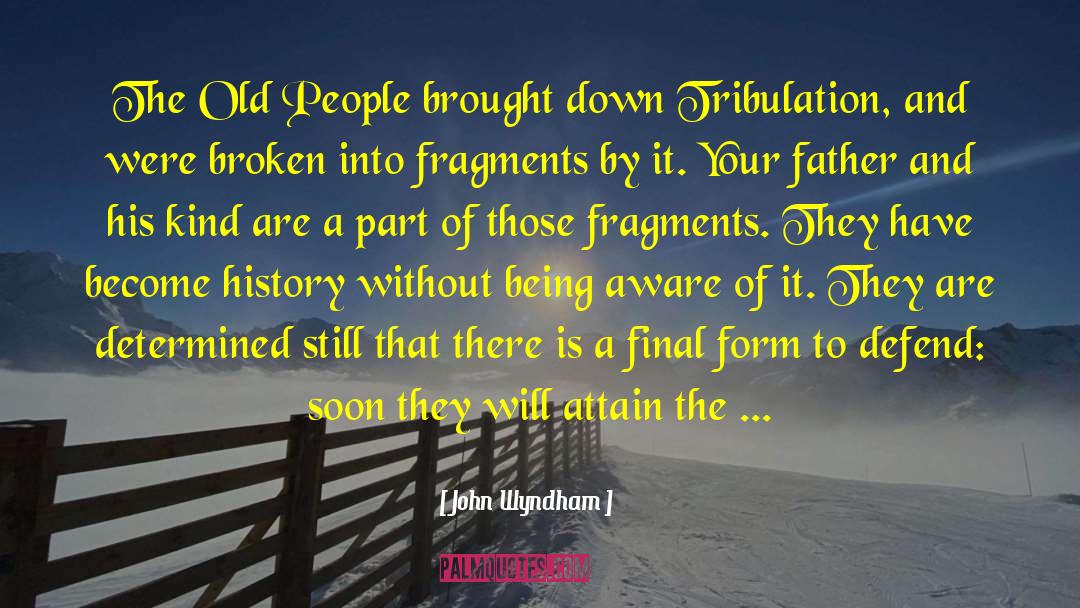 John Wyndham Quotes: The Old People brought down