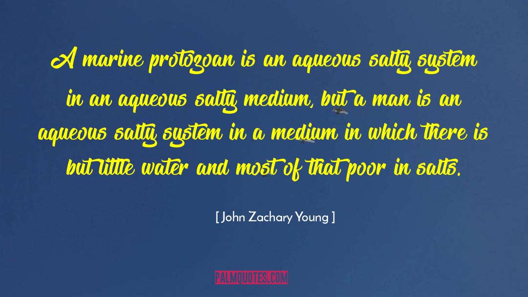 John Zachary Young Quotes: A marine protozoan is an