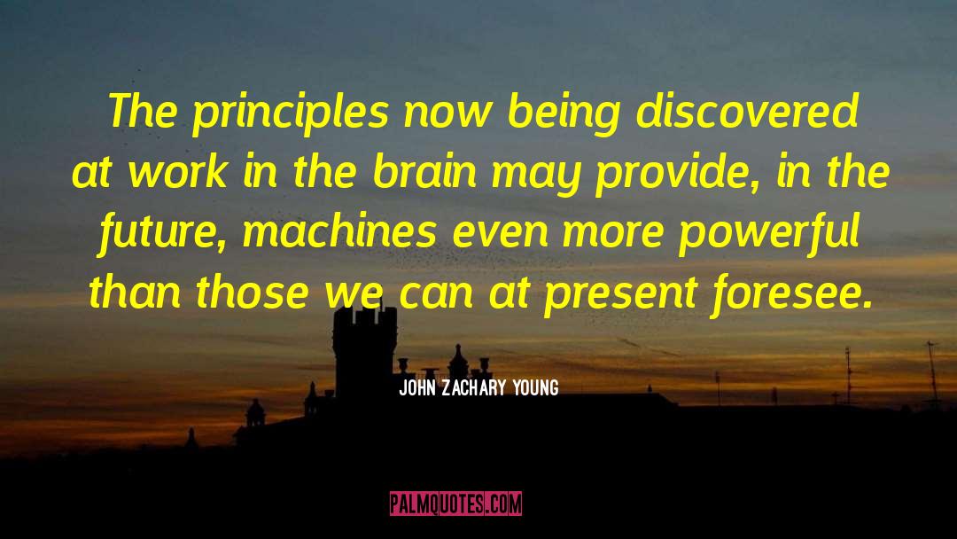 John Zachary Young Quotes: The principles now being discovered