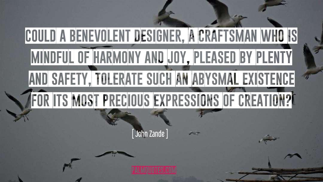 John Zande Quotes: Could a benevolent designer, a