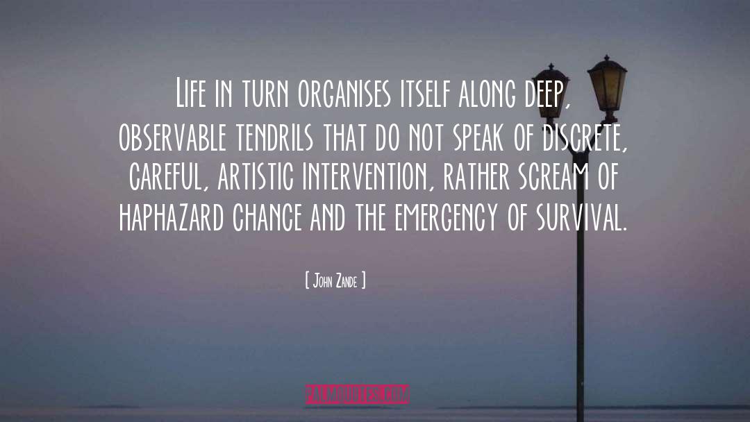 John Zande Quotes: Life in turn organises itself