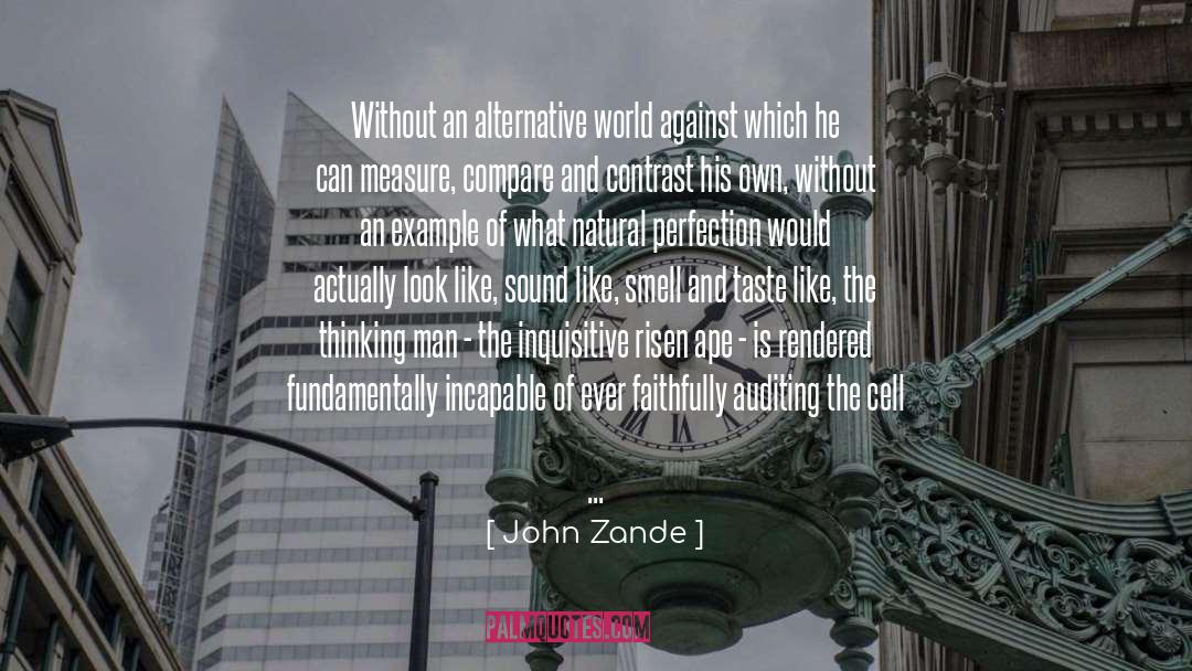 John Zande Quotes: Without an alternative world against