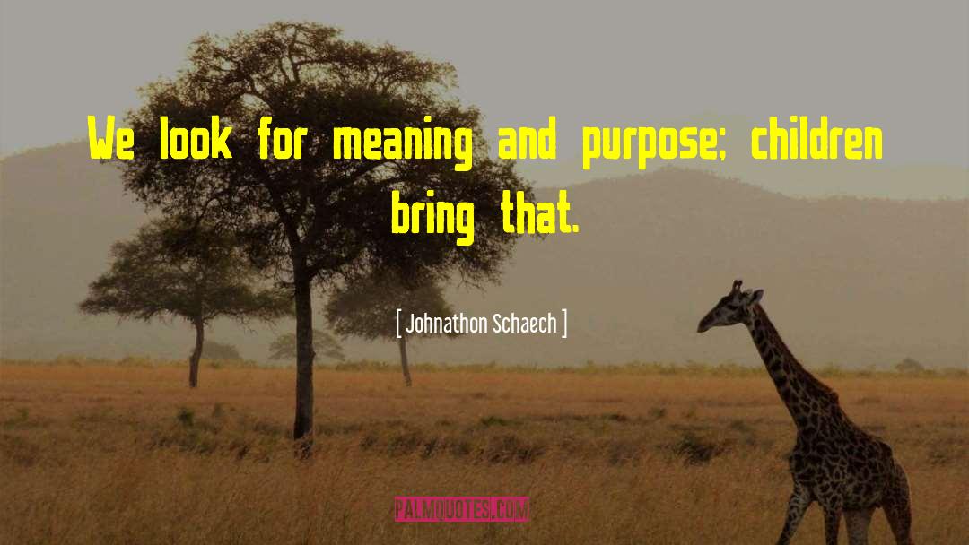 Johnathon Schaech Quotes: We look for meaning and