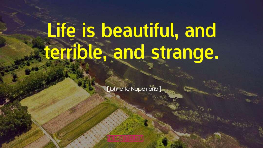 Johnette Napolitano Quotes: Life is beautiful, and terrible,