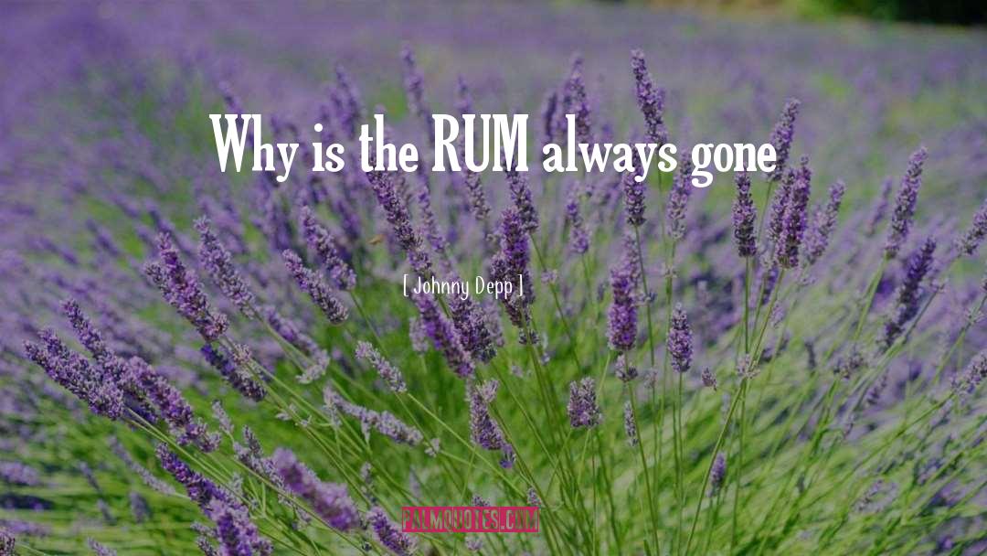 Johnny Depp Quotes: Why is the RUM always