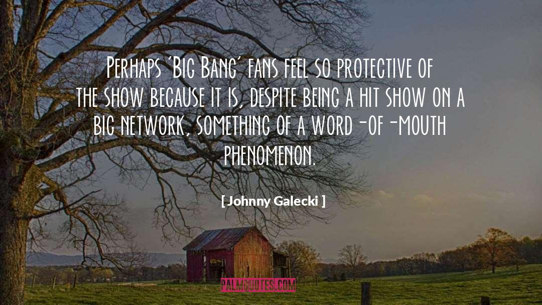 Johnny Galecki Quotes: Perhaps 'Big Bang' fans feel