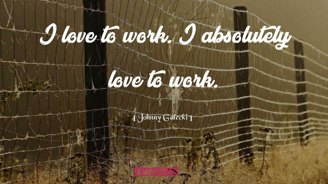 Johnny Galecki Quotes: I love to work. I