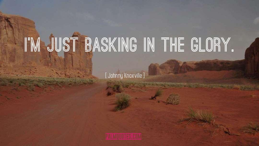 Johnny Knoxville Quotes: I'm just basking in the