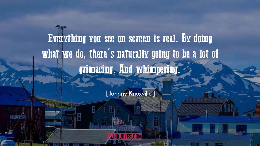 Johnny Knoxville Quotes: Everything you see on screen